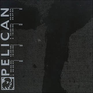 Pelican_-_Pelican.jpg