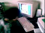 tylerheadbang.gif