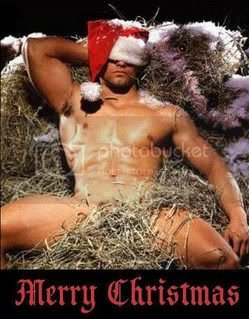 SEXYXMASGREETINGS.jpg