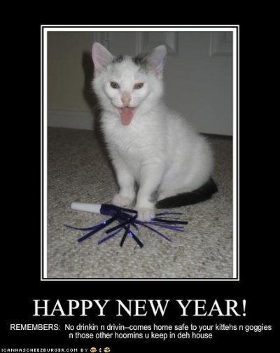 funny-pictures-kitten-wishes-you-a-happy-new-year.jpg