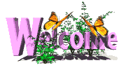 animatedwelcomebutterflies.gif