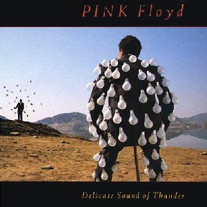 delicate+sound+of+thunder.jpg