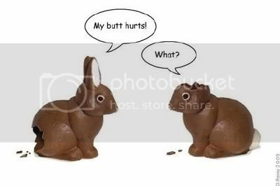 rabbits.jpg