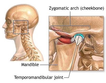 tmj_sideview.jpg