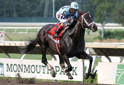 17iht-srraverrrazano17-articleLarge.jpg