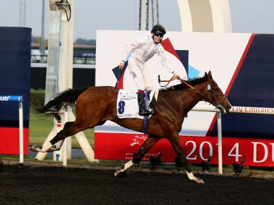 horse-racing-jamie-spencer-toast-of-new-york_3110295.jpg