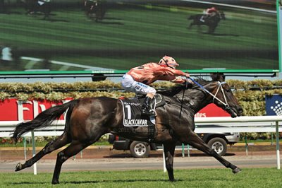 Black%20Caviar%20Newmarket%20side%20QL.jpg