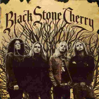 Black_Stone_Cherry_-_Black_Stone_Ch.jpg