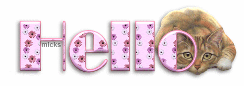 21691.gif