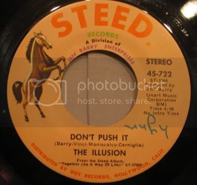 theIllusionDontPushIt45.jpg
