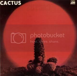 cactus_cactus.jpg