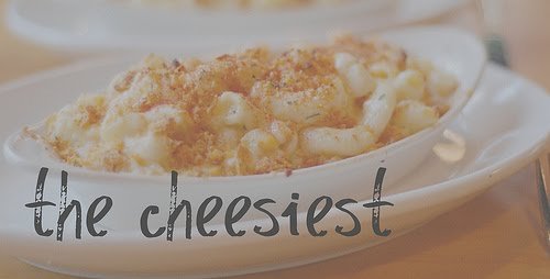 Cheesiest+Header.jpg