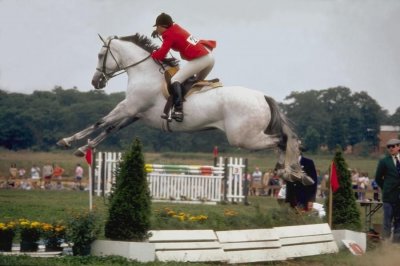 horse-jumping-photos-90.jpg