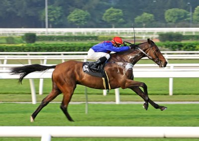 horse-race-8.jpg