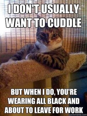 cats.jpg