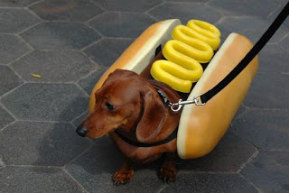 silly-dog1.jpg