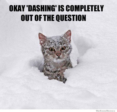 400x400_1392255137780-cat-in-snow-mem.jpg