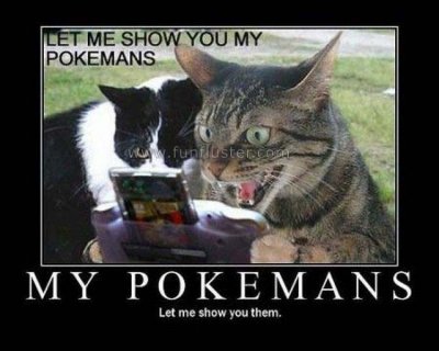 images-funny-cats-pictures-2.jpg