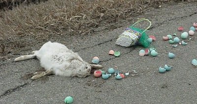 Dead%20Bunny.jpg