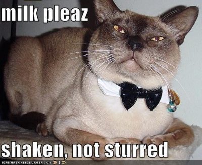 Very-Demanding-Kitty-Cat-Makes-Some-Milk-Request.jpg