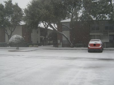 IMG_0135.jpg