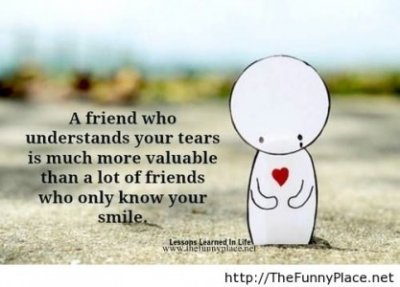Friendship-Quote-22-417x300.jpg
