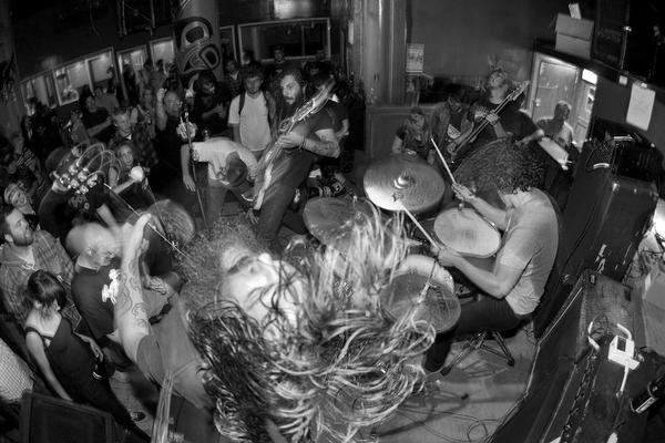 bisonbc-photo-by-Oli.jpg