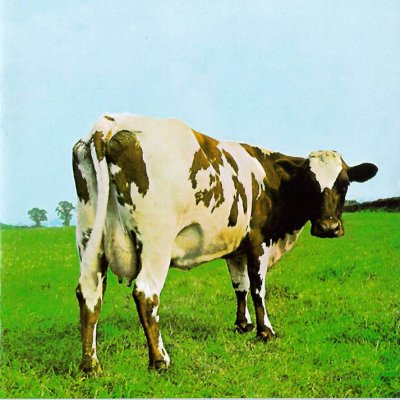 Hipgnosis_-_Pink_Floyd_-_Atom_Heart_Mother.jpg