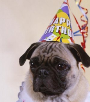 happy-birthday.jpg