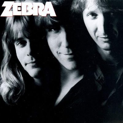 zebra+by+zebra.jpg