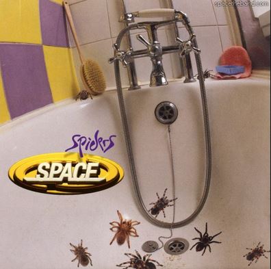Spiders.JPG