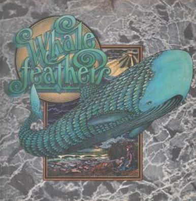 Feathers.JPG