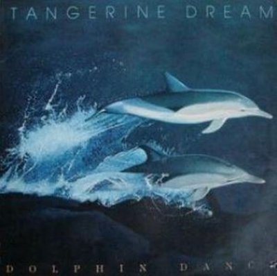 Dolphin.JPG
