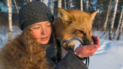 fox.jpg