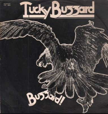 Buzzard.JPG