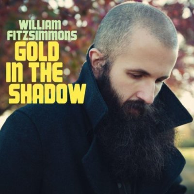 william-fitzsimmons-gold-in-the-shadow-album-cover.jpg