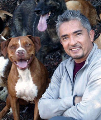 Dog-Whisperer.jpg