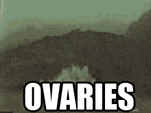 tumblr_legira4DpM1qby9dk.gif