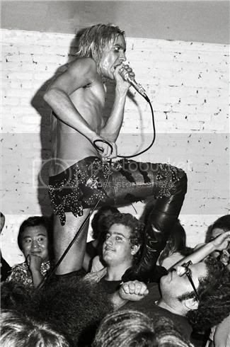 IggyPop3.jpg