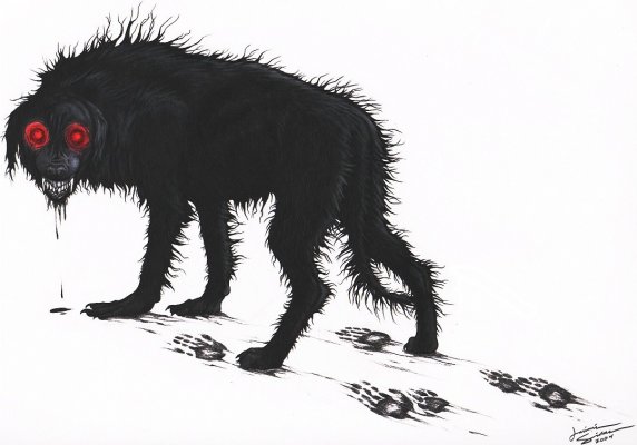 blackdog.jpg