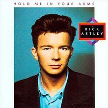 220px-Hold_Me_in_Your_Arms_%28Rick_Astley_album%29.jpg