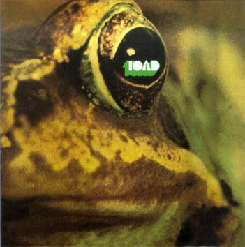 toad1.jpg