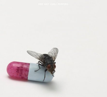 RHCP-Im-with-you.jpg