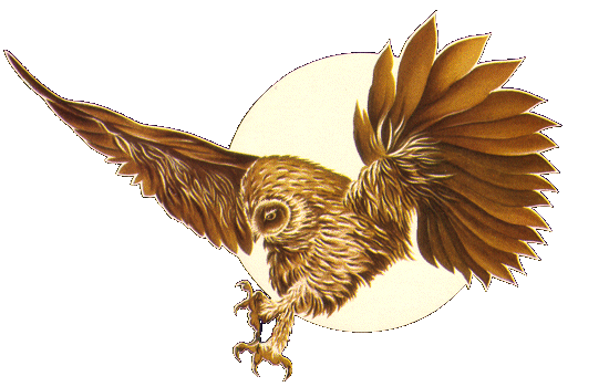 gteowl.gif gteowl.gif