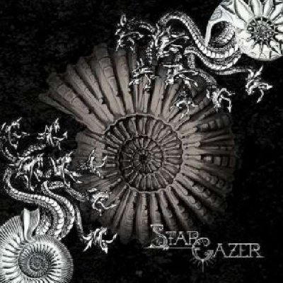 stargazer.jpg