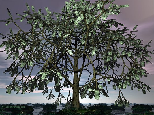 moneytree800.jpg