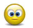 funnysmiley96.gif