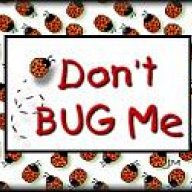 Buggy