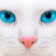 OpalBidwell