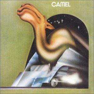 camel-camel_52472569.jpg